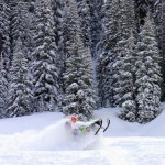 Winter - snowmobiler meadow snow mobilling in Fernie